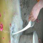 Vraj-Yatra-2014- (1677)